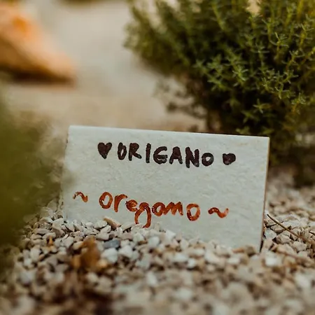 Casa Cavi Istria Villa *