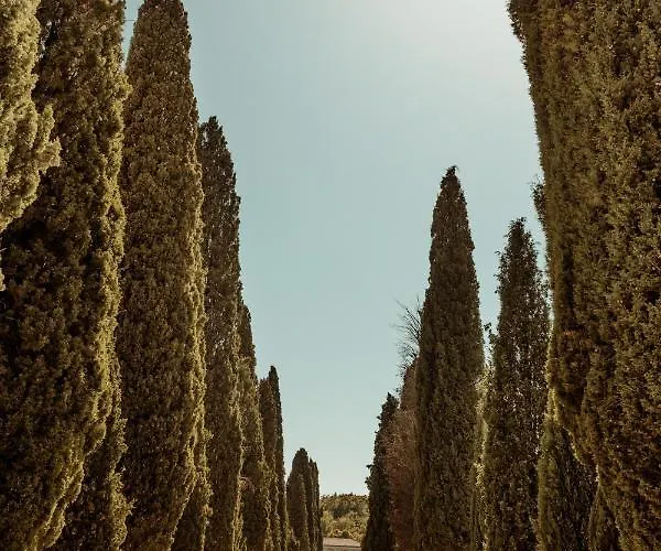 Casa Cavi Istria * Oprtalj